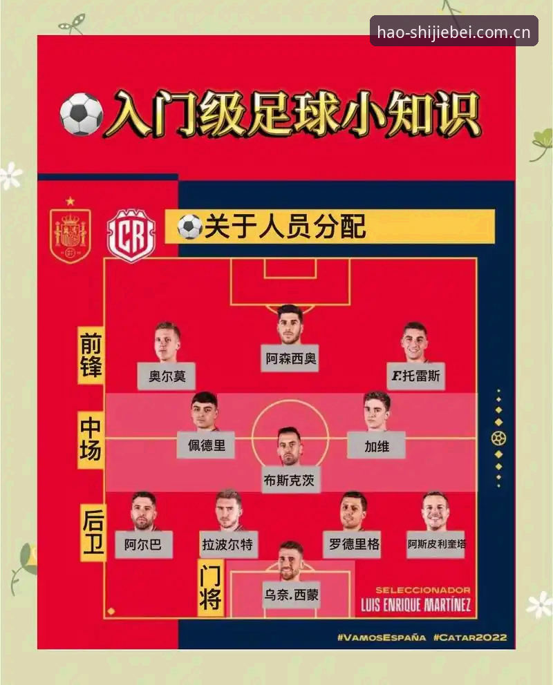 世界杯竞猜用户指南：从入门到精通的完整操作教程